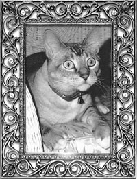 Tatianna's Circle of Life